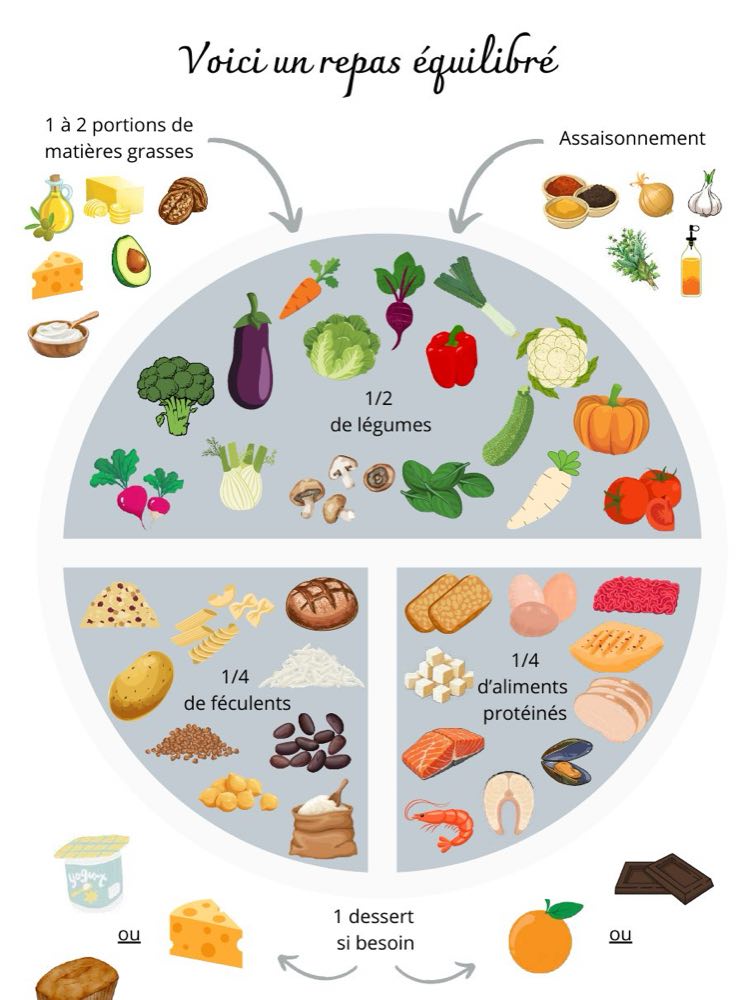 Fiche pratique : composer un repas équilibré